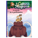 Le sorcier de la préhistoire vignette